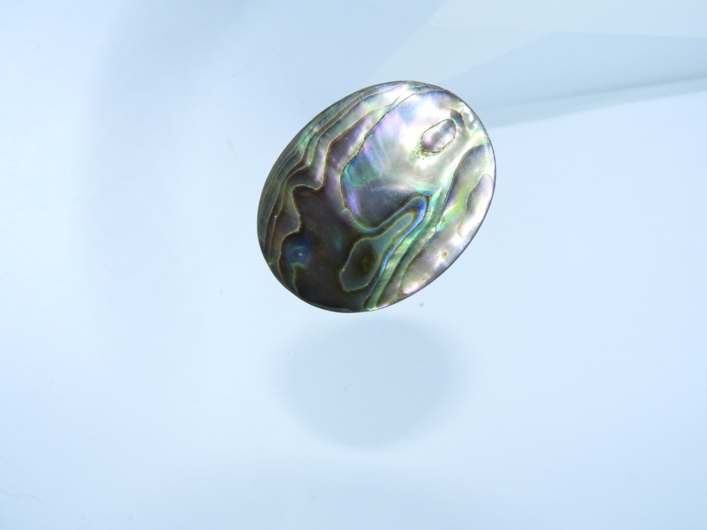 Antique Edwardian Era Abalone Shell Hat Pin